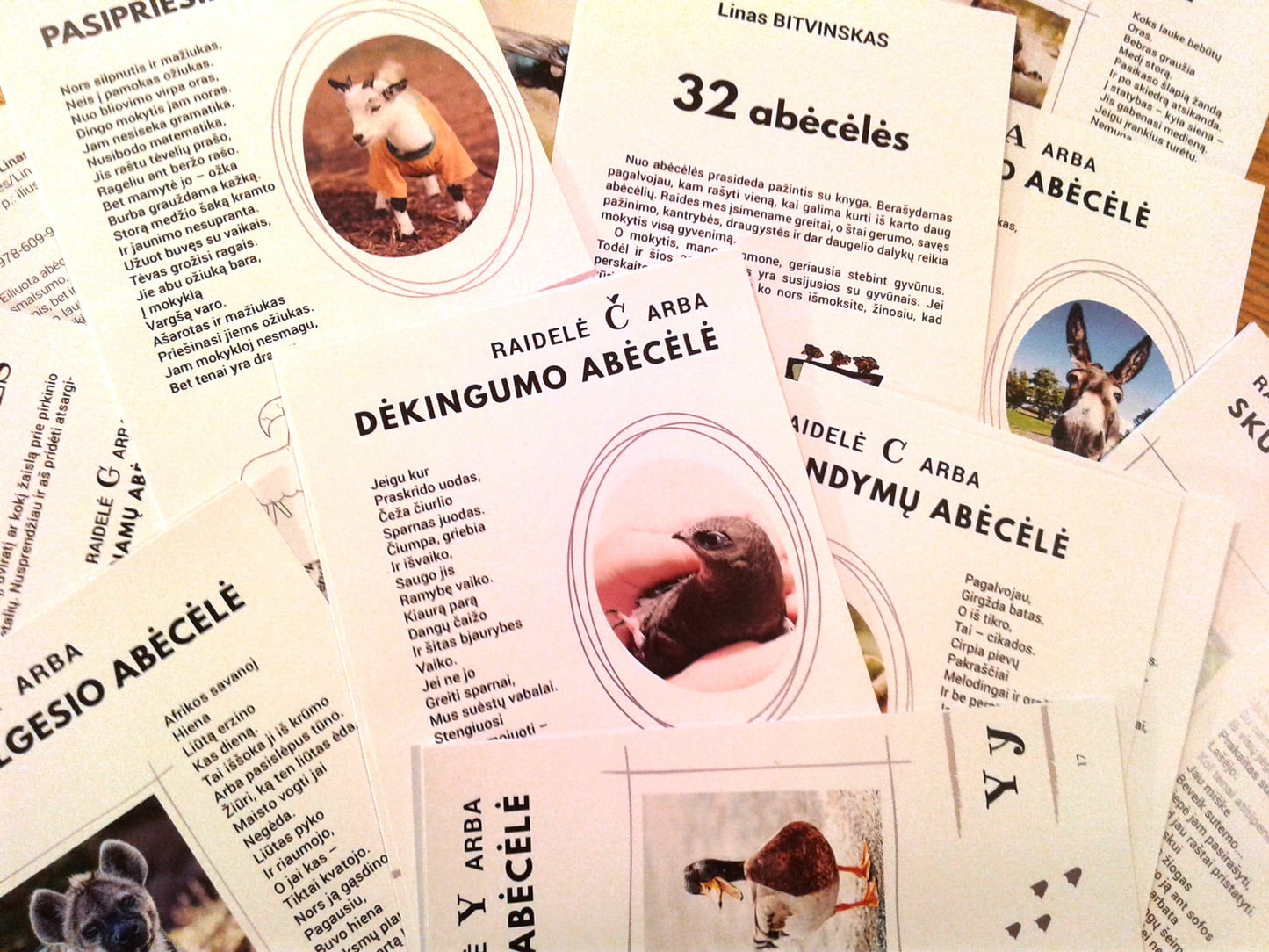 Linas Bitvinskas. 32 abėcėlės