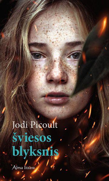 Jodi Picoult. Šviesos blyksnis