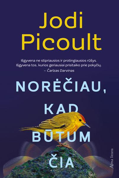 Jodi Picoult. Norėčiau, kad būtum čia